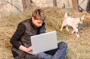 Teenager Sitting In Hay While Typing On Laptop With Goat Playing In Background